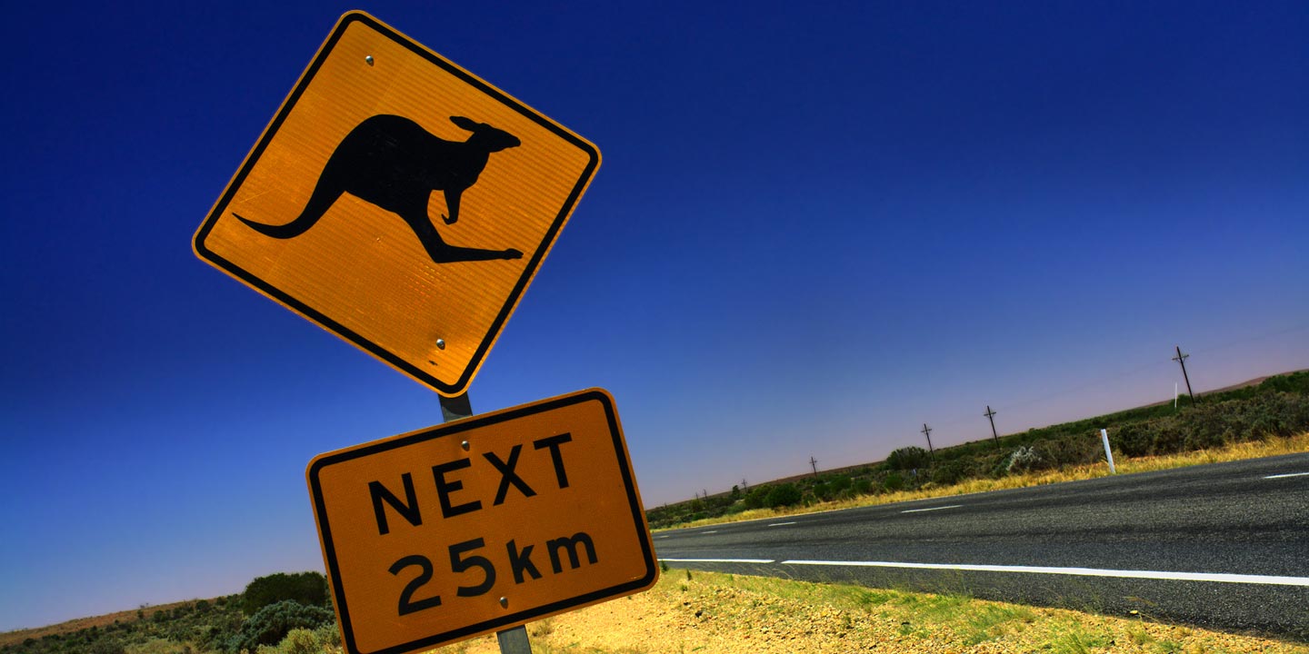 Närbild på trafikskylt i Australien som varnar för kängurur. 
