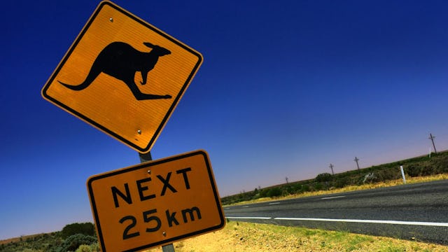 Närbild på trafikskylt i Australien som varnar för kängurur.