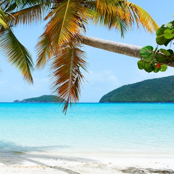 Vit strand, palmer och turkosblått hav.