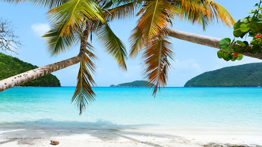 Vit strand, palmer och turkosblått hav.
