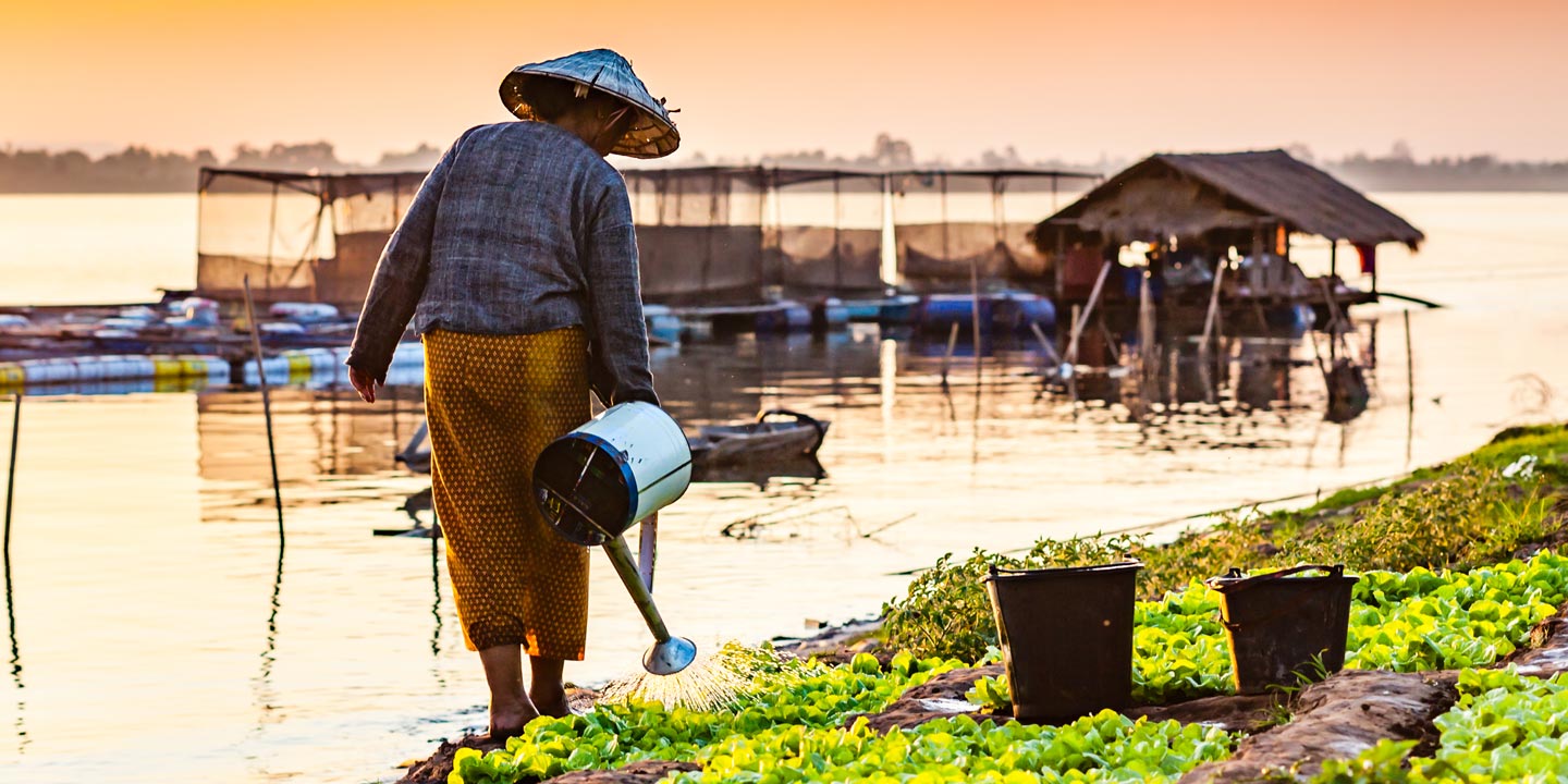 Kvinna vattnar sina grödor vid Mekongfloden.