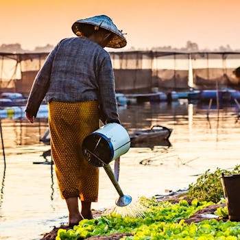 Kvinna vattnar sina grödor vid Mekongfloden.