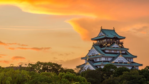 Solnedgång över Osaka Castle i Osaka, Japan.