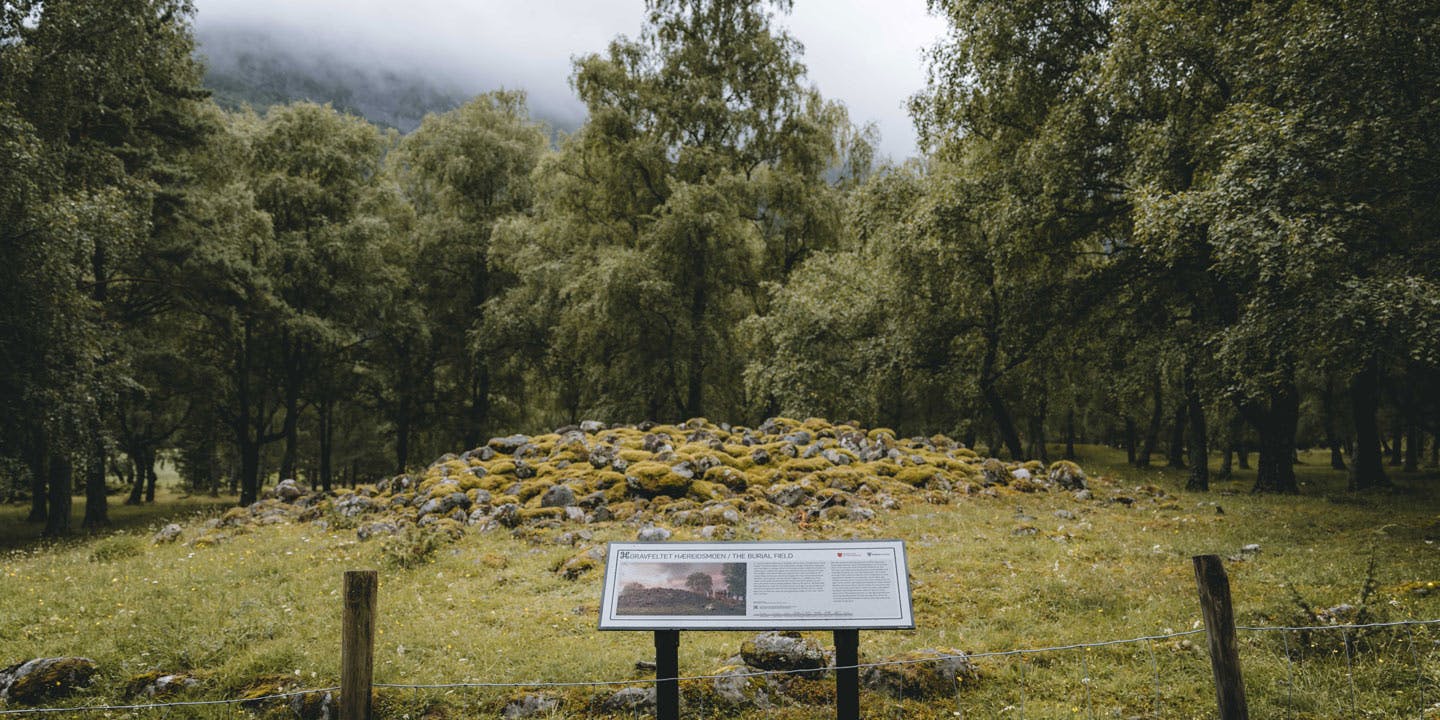 Hæreid gravfält i Ulvik, Norge.