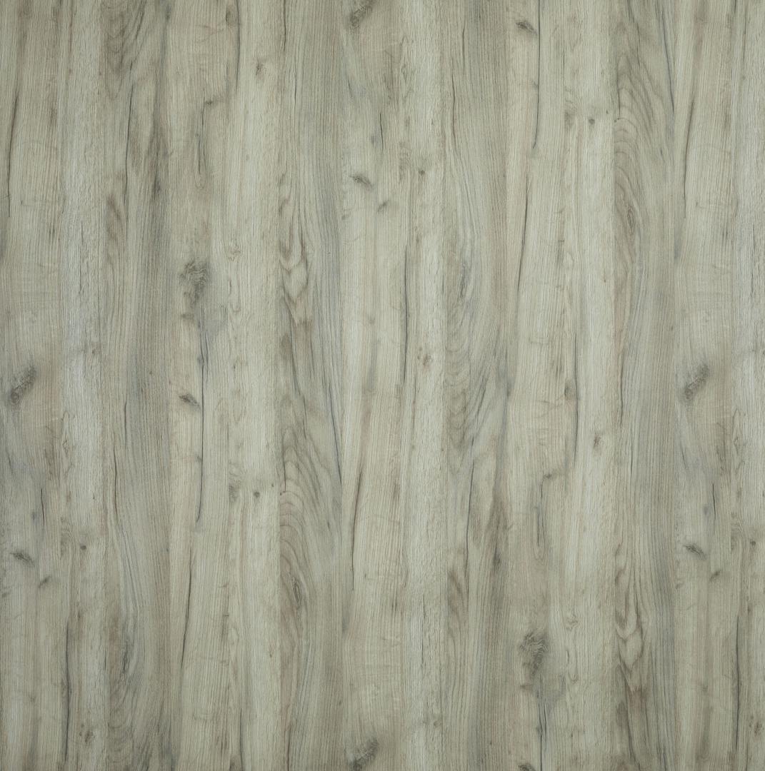 wood texture - ash