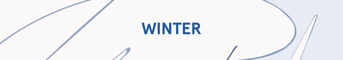Image of skinny patterned background with the word winter in the center as a header