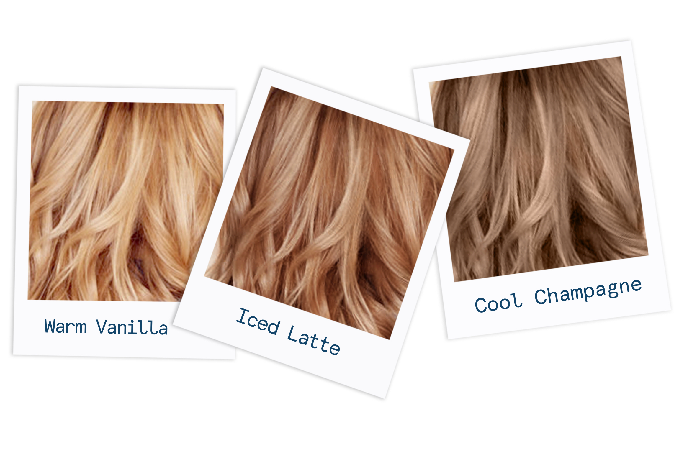 whichblonde_articlehero_v1.jpg?auto=compress,format&rect=0,0,3420,1536&w=1140&h=512