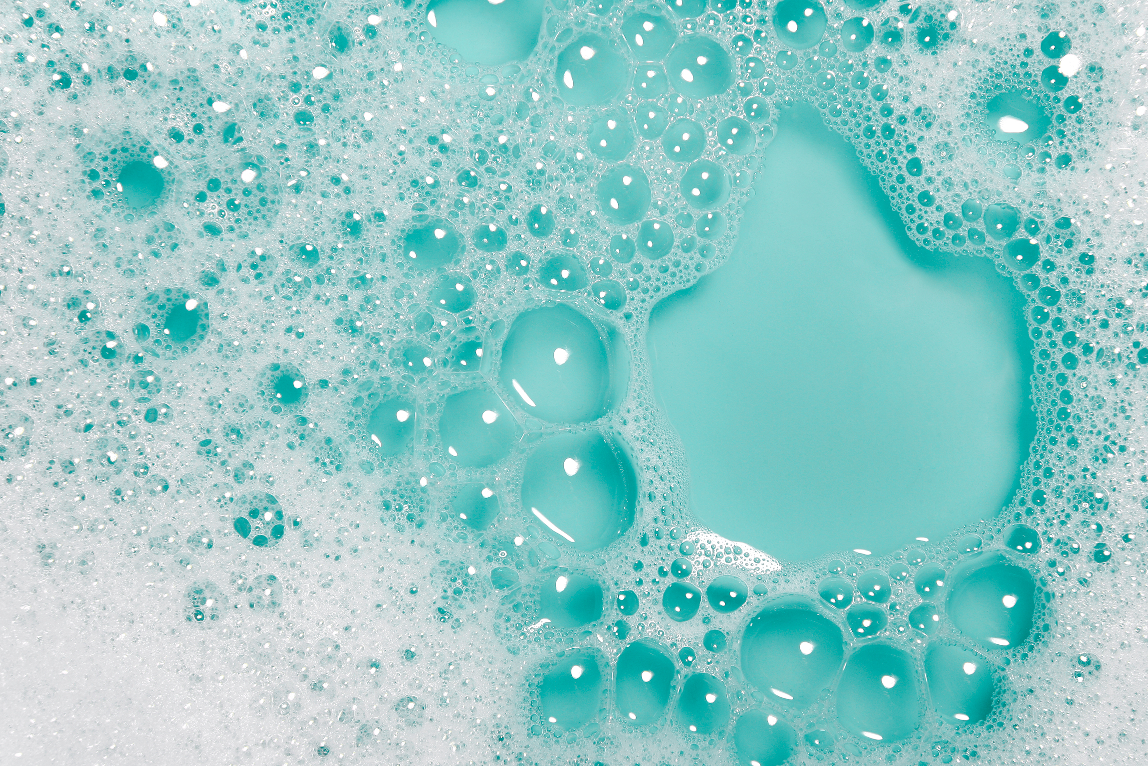 shampoo+conditioner_articlehero_v1.jpg?auto=compress,format&rect=0,0,3420,1536&w=1140&h=512