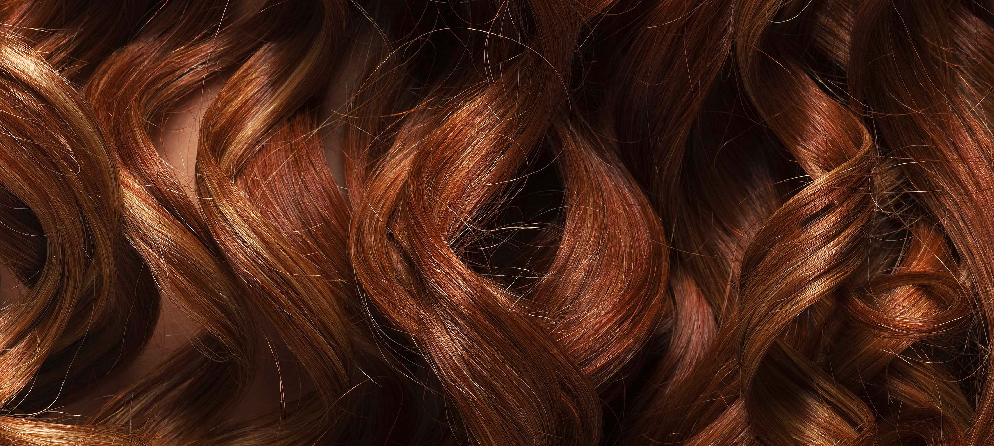 Разновидности структуры волос. Волос все о нем. Девушка расчесывается. Роскошные волосы на белом фоне. Структура волос виды.