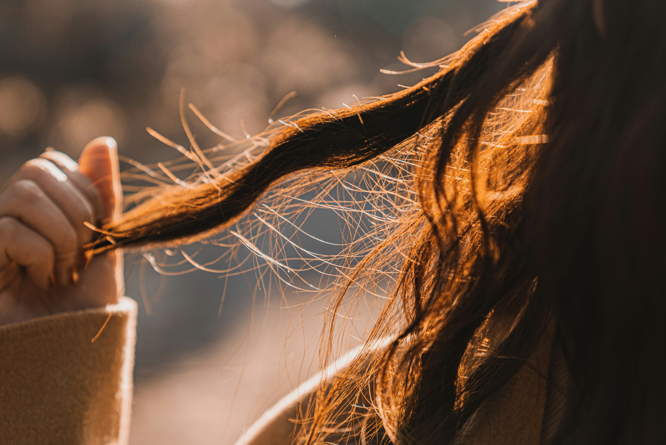 Your Hair Loss Questions, Answered