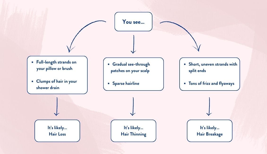 Graphic giving a quick and digestible guide to the information deatailed above.