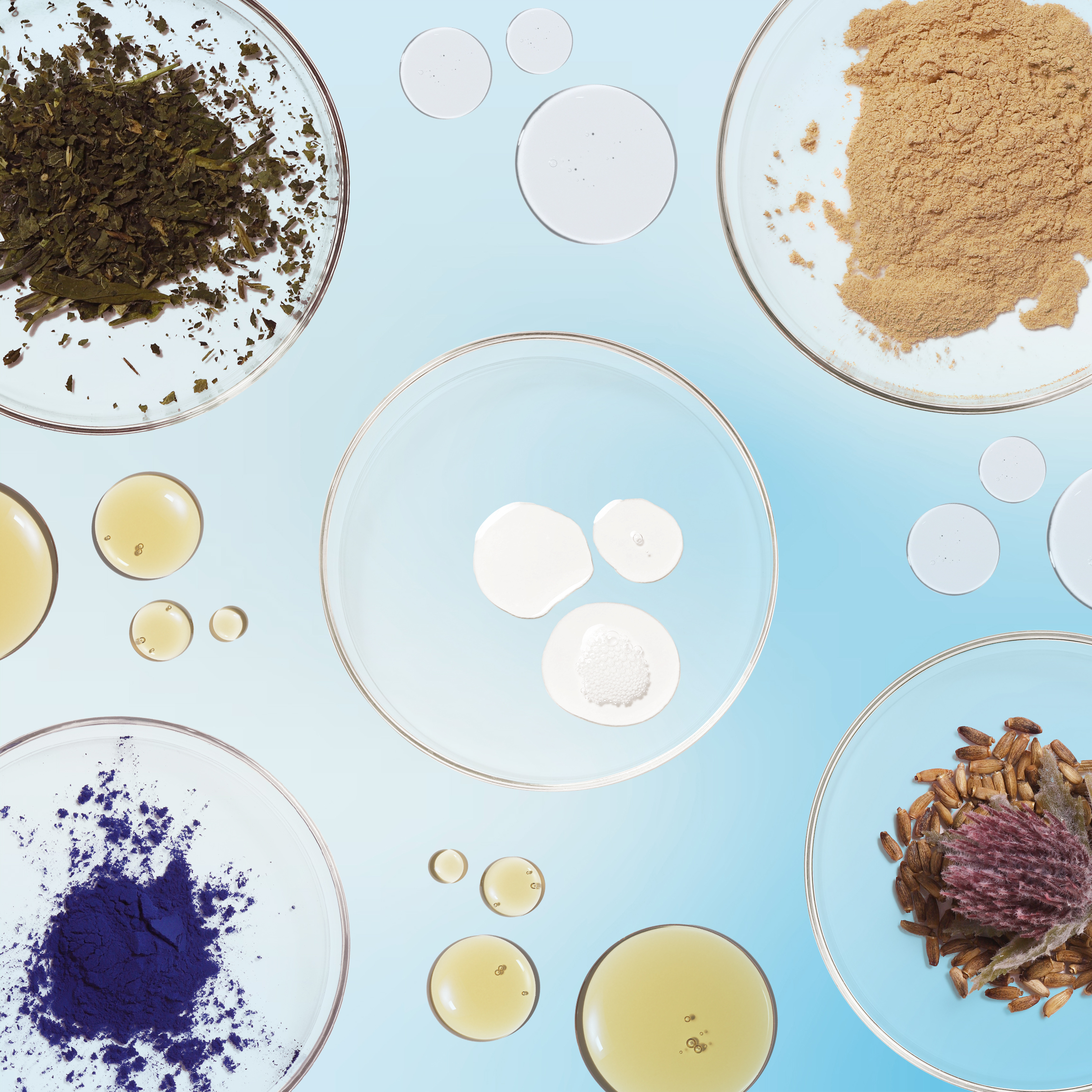 Collage of different trending hair growth ingredients. 