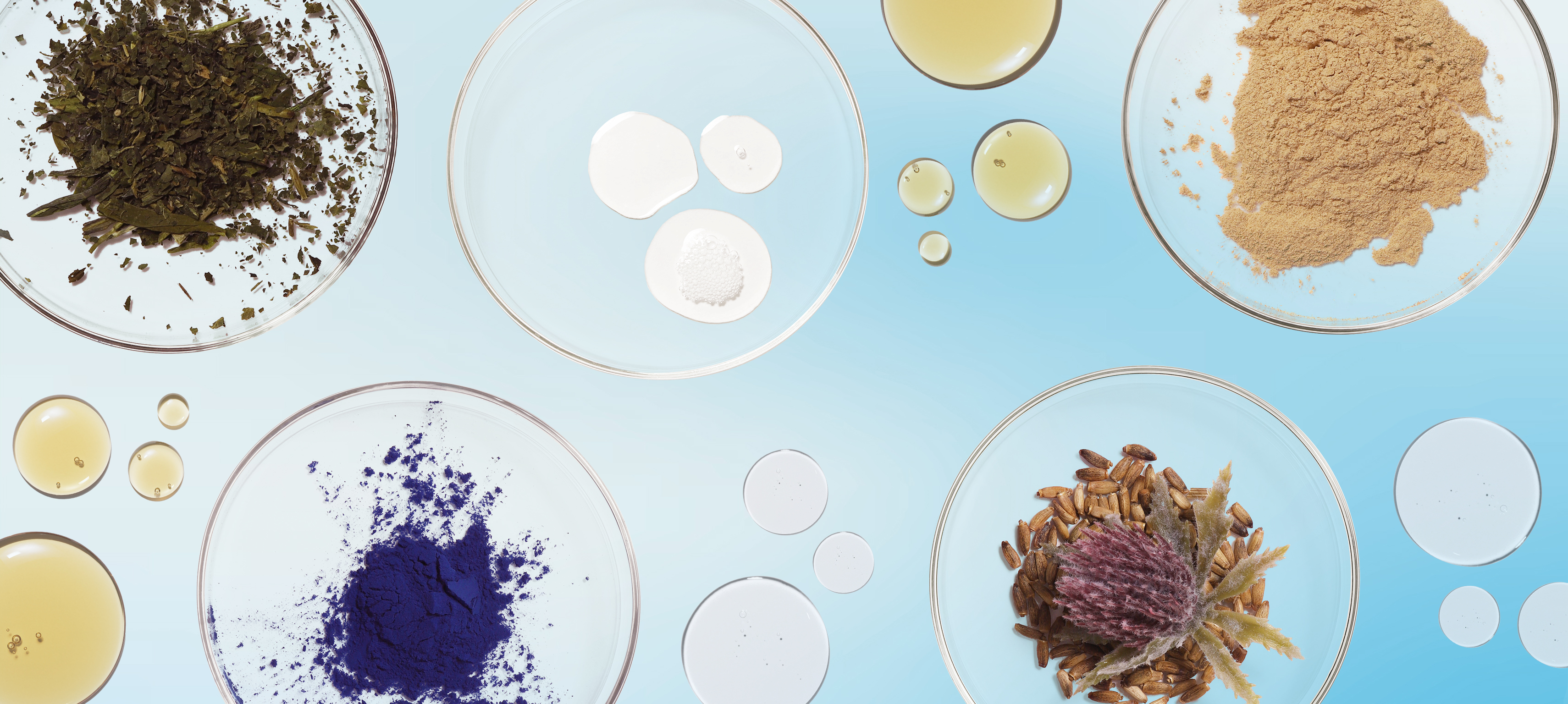 TrendingHairGrowthIngredients_ArticleHero_v1.jpg?auto=format,compress&rect=0,251,2301,1033&w=1140&h=512