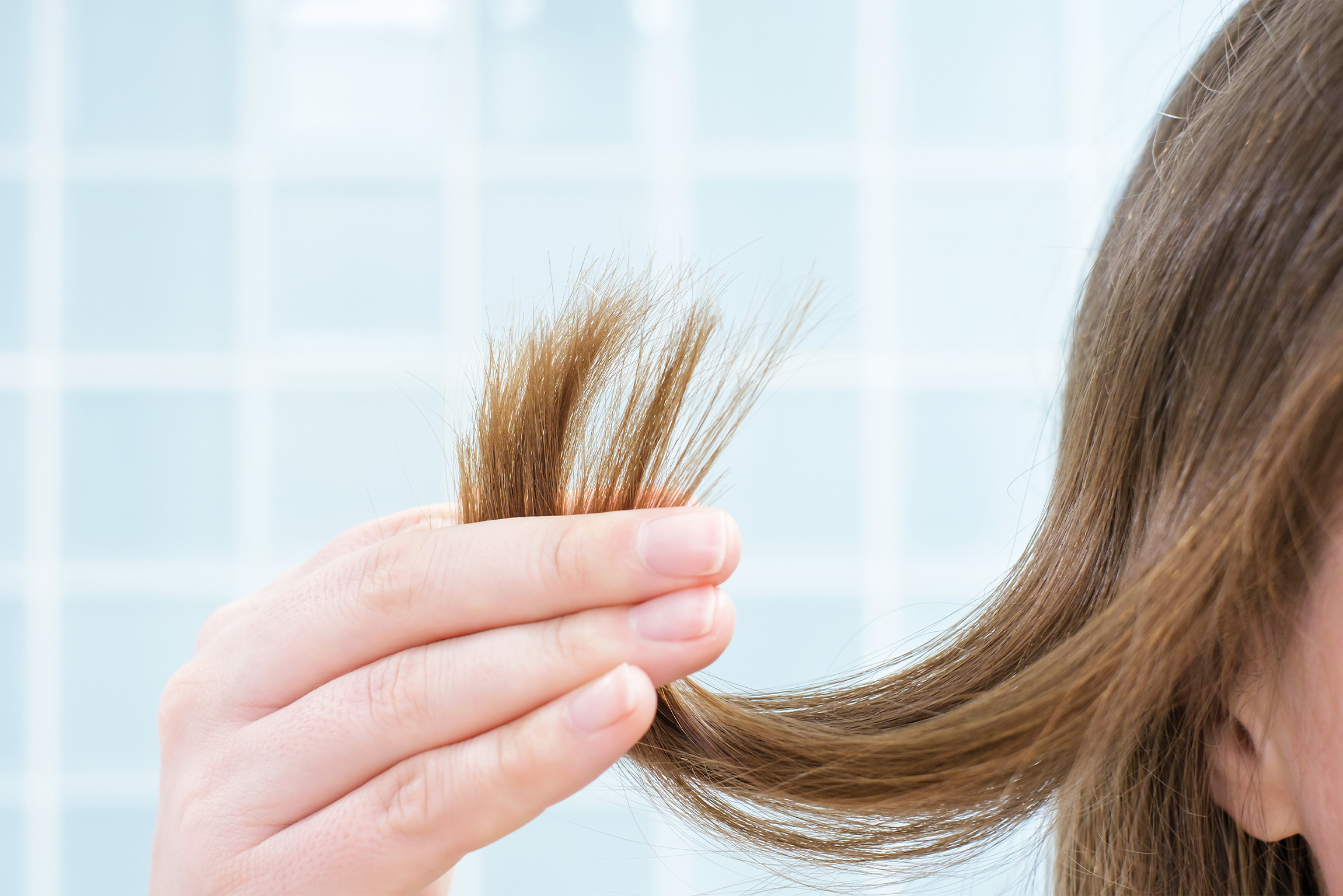 GGNHVfTOYL5_Primary_HeroImage_v1.jpg?auto=format,compress&rect=0,0,3420,1536&w=1140&h=512