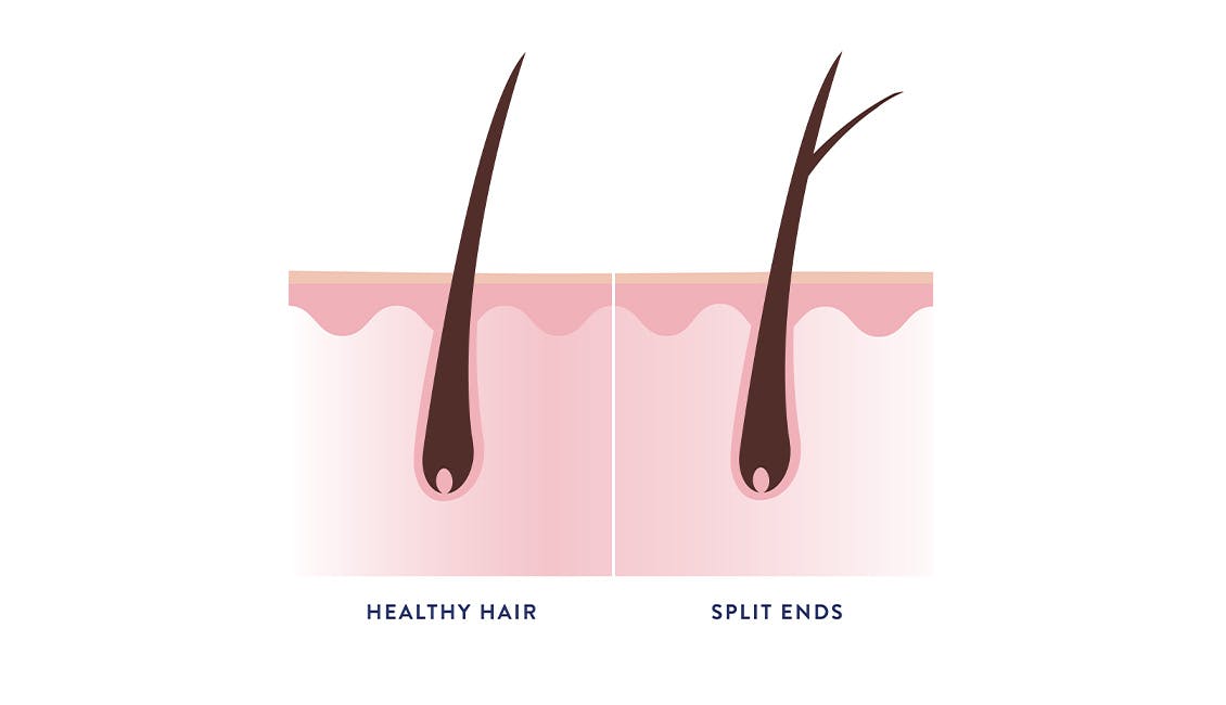 Graphic showing a smooth, healthy strand of hair and a strand of hair that has split at the end.