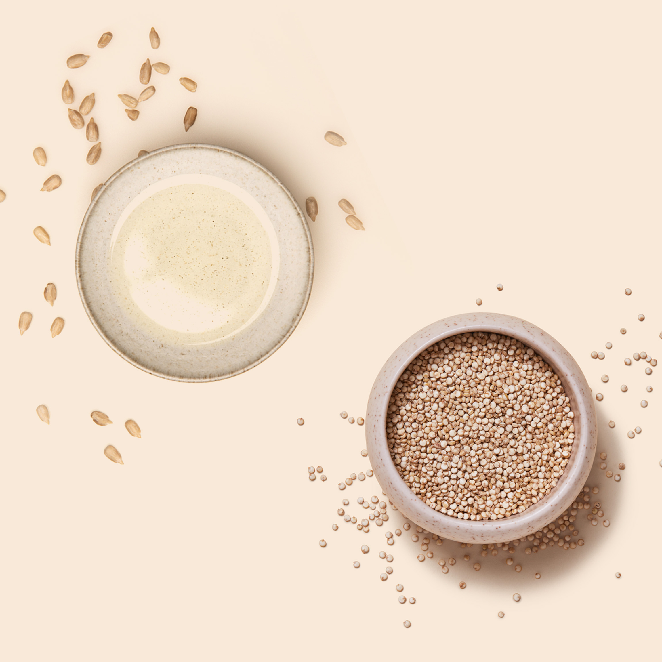 A bowl of Quinoa and Sunflower Seed Extract