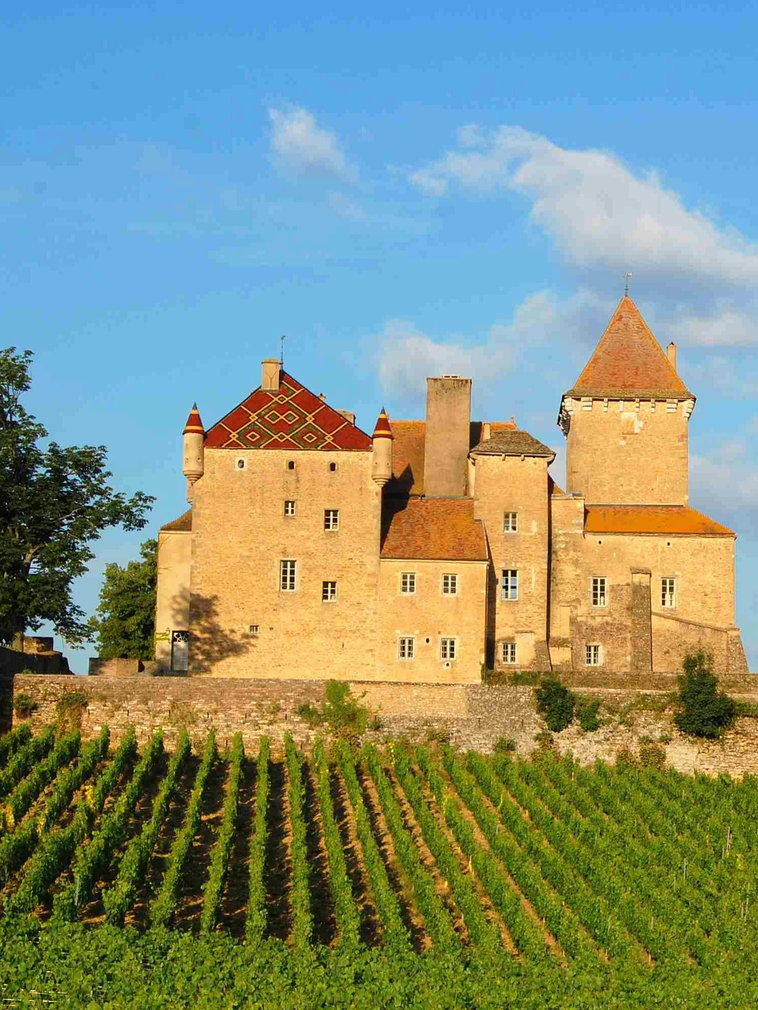 Château de Pierreclos - Château d'Hôtes - Bourgogne