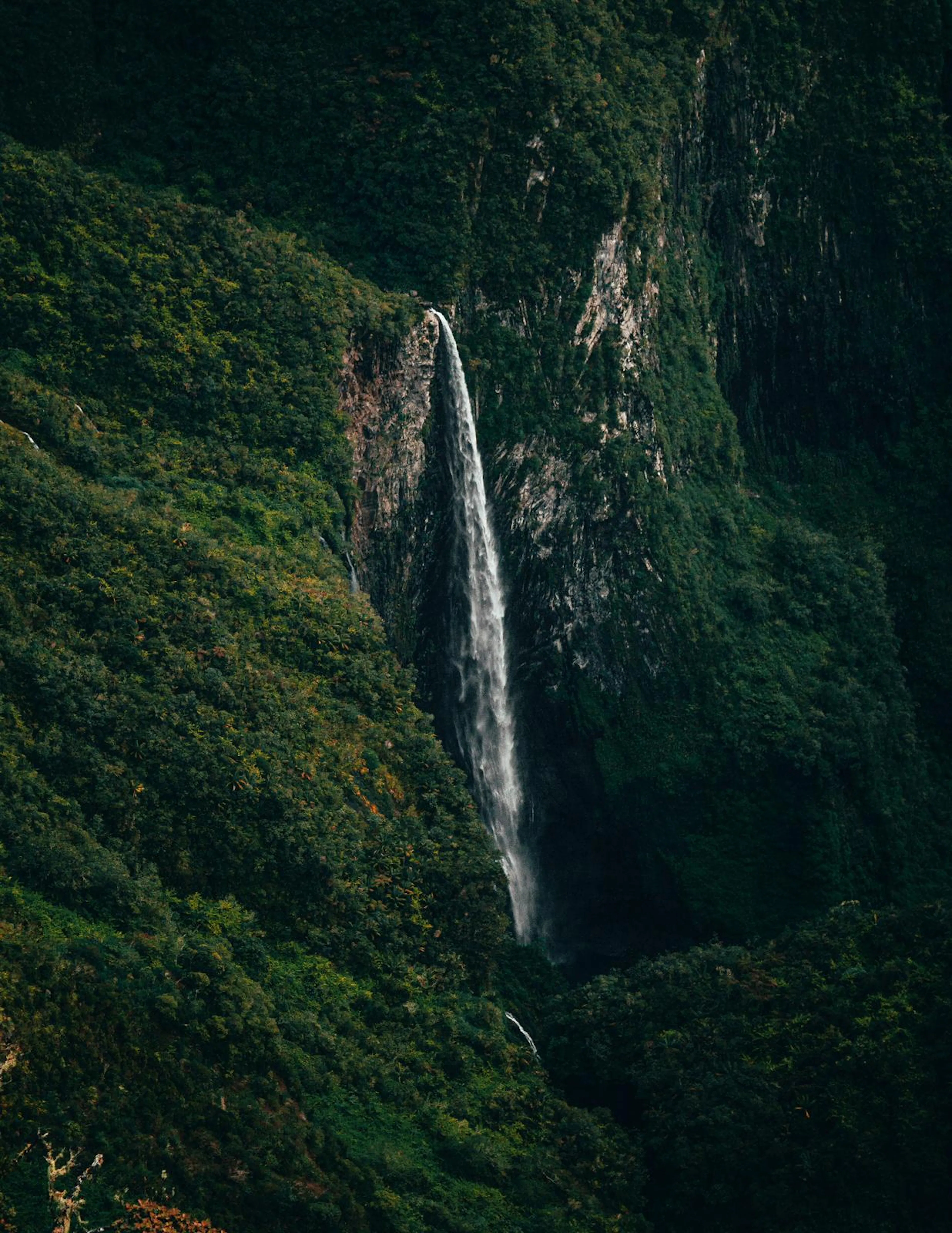 Cascade dans les hauts de La Réunion