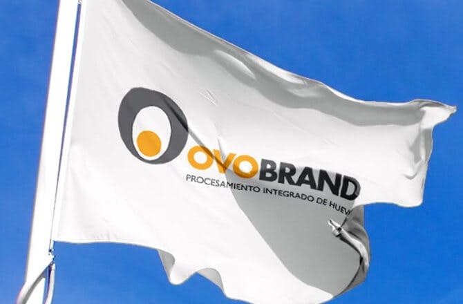 Ovobrand