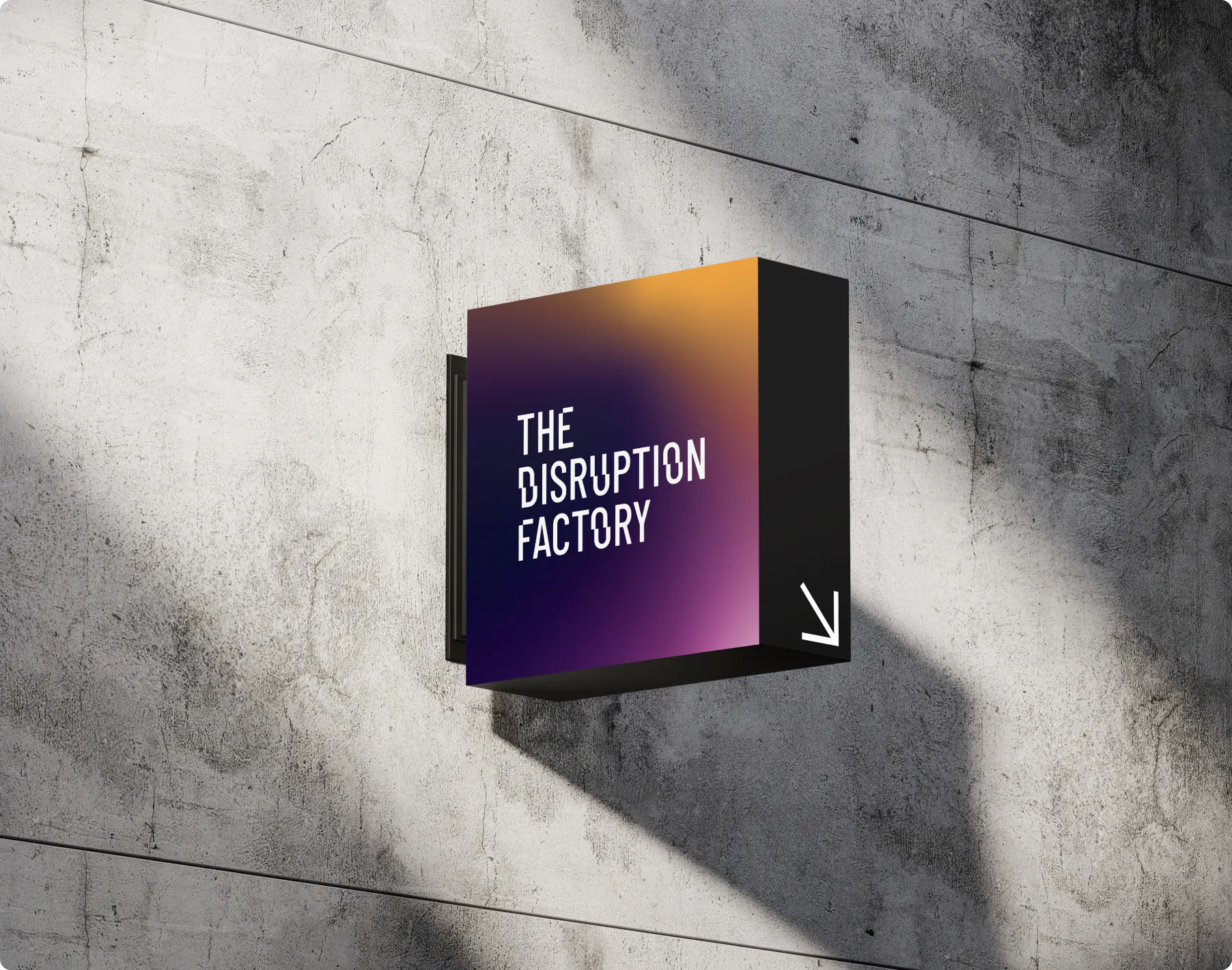 Disruption Factory - Digital — /nk.studio