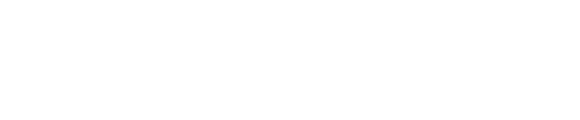 Pierini Partners