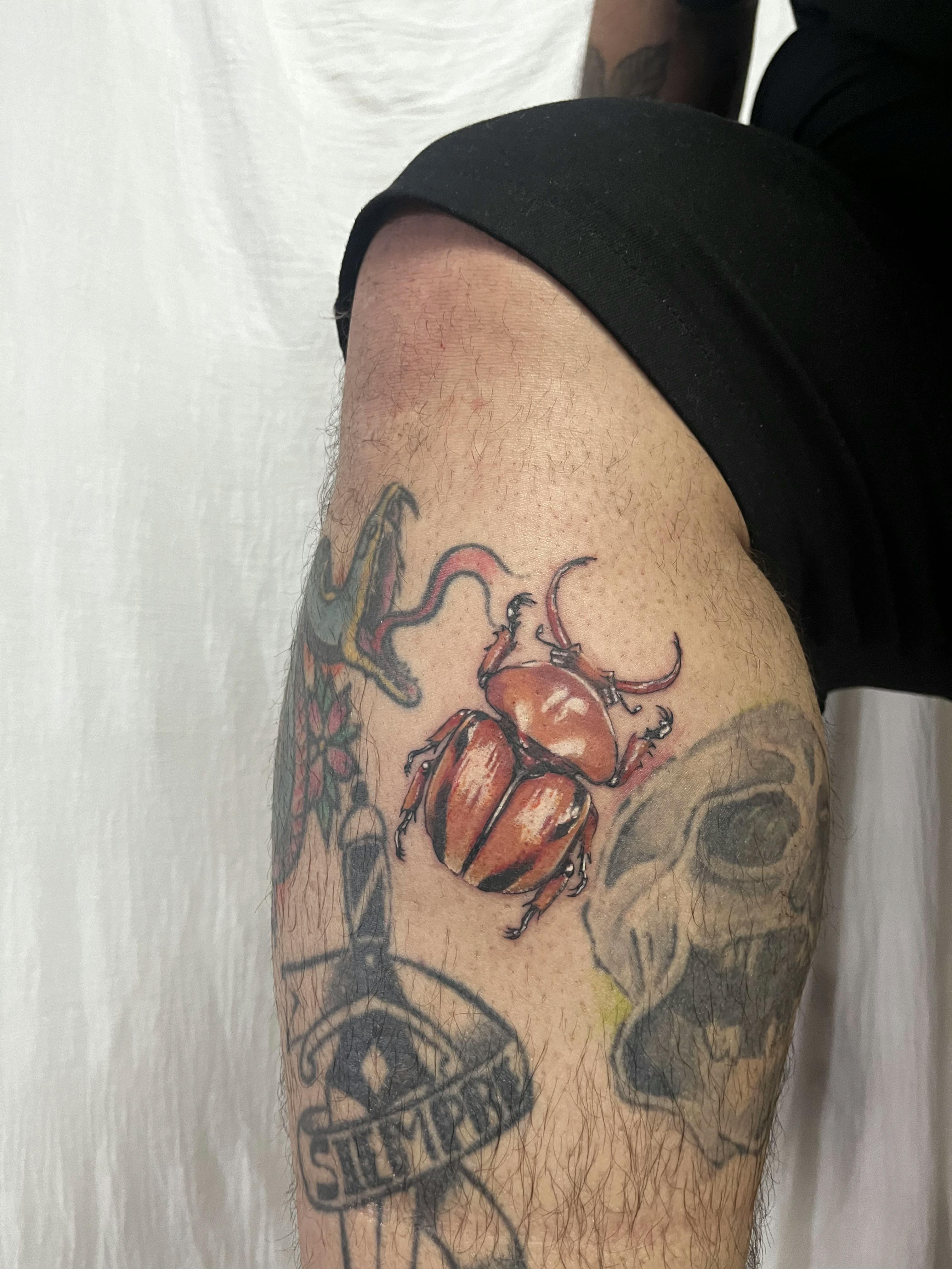 Escarabajo ilustrativo a color - ESTUDIO12 por Fuerza, simbolismo y detalle.