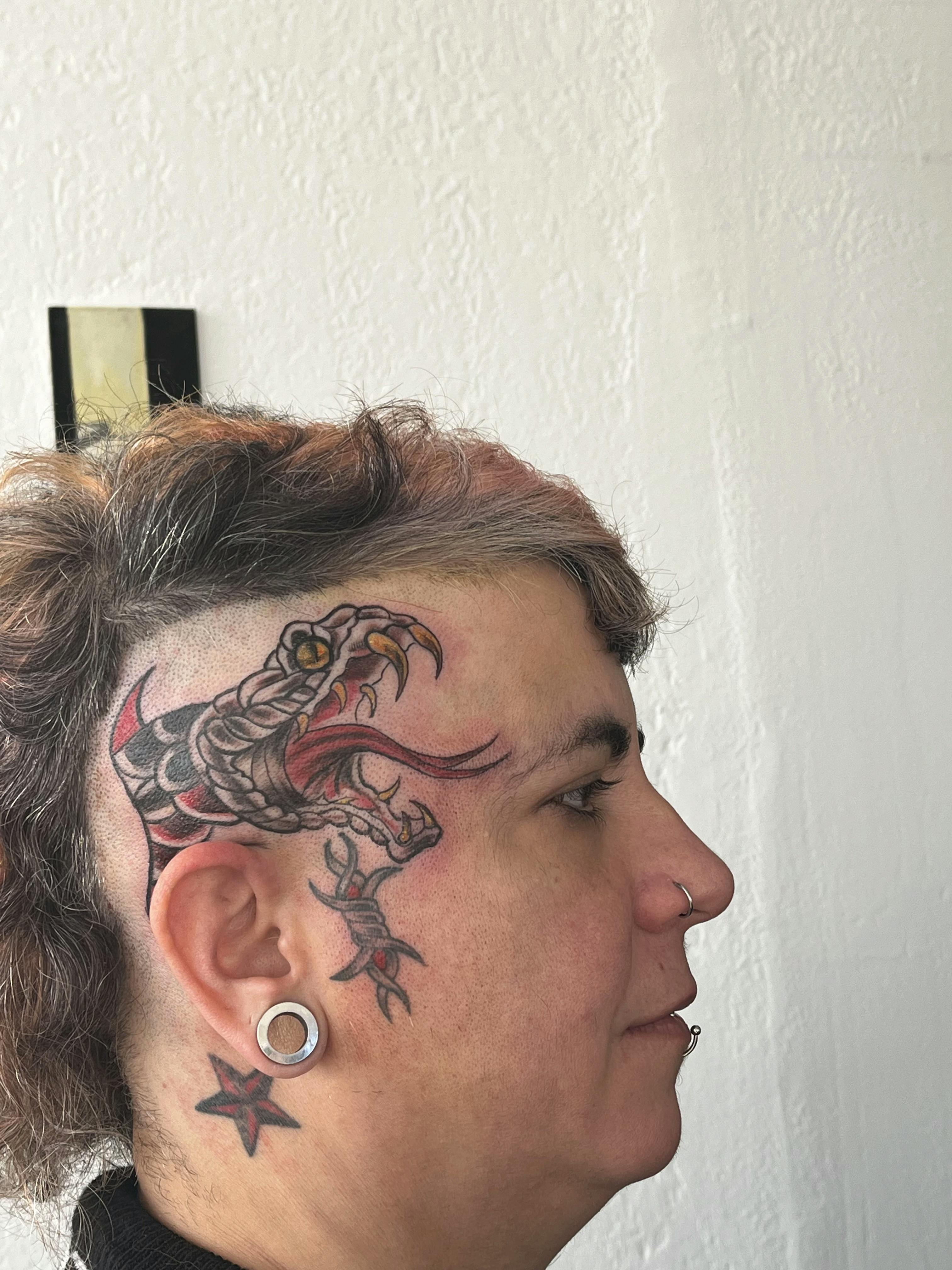 Serpiente tradicional a color - ESTUDIO12 por Instinto, fuerza y carácter.