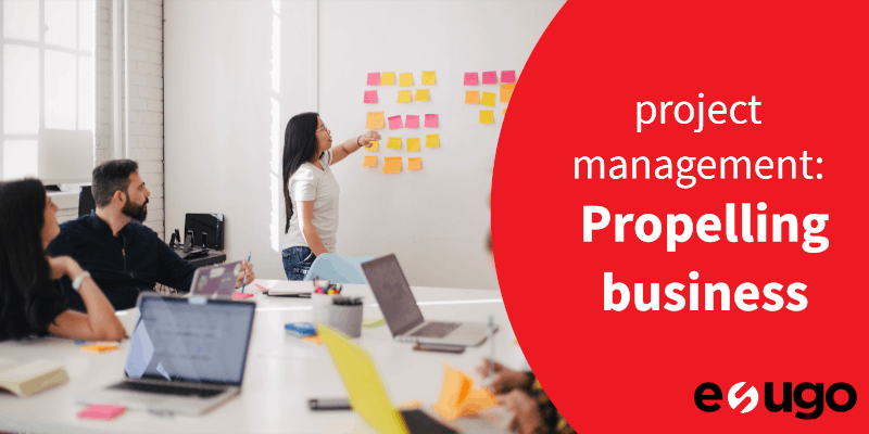 Project management