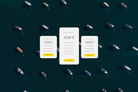 Pricing model in subscription business