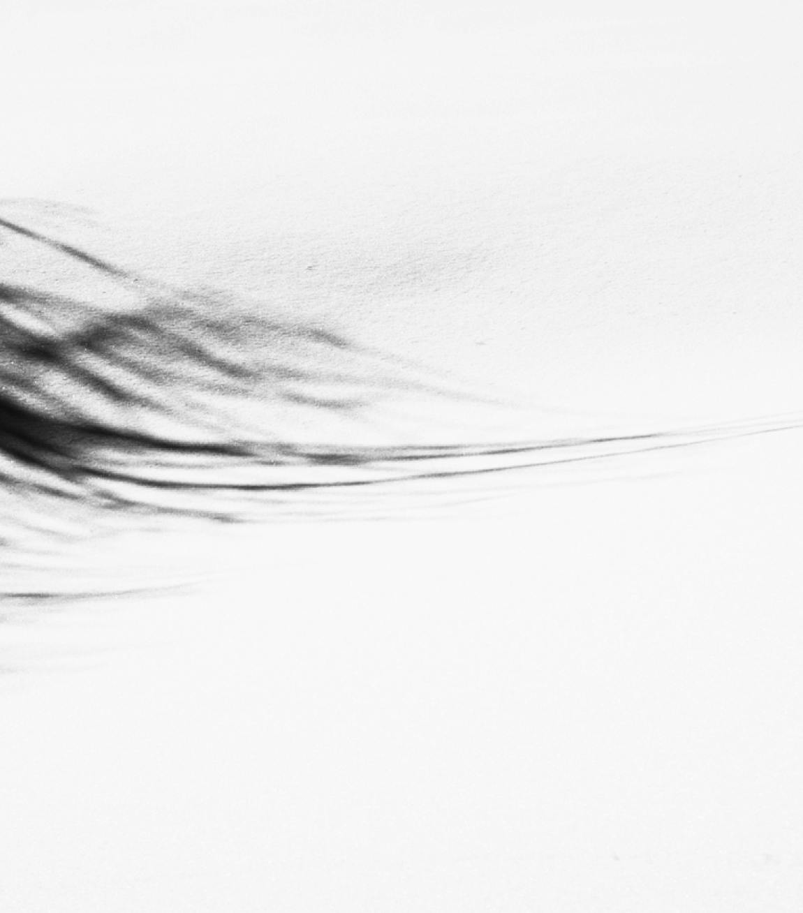 A black and white image of abstract shadows on a white surface