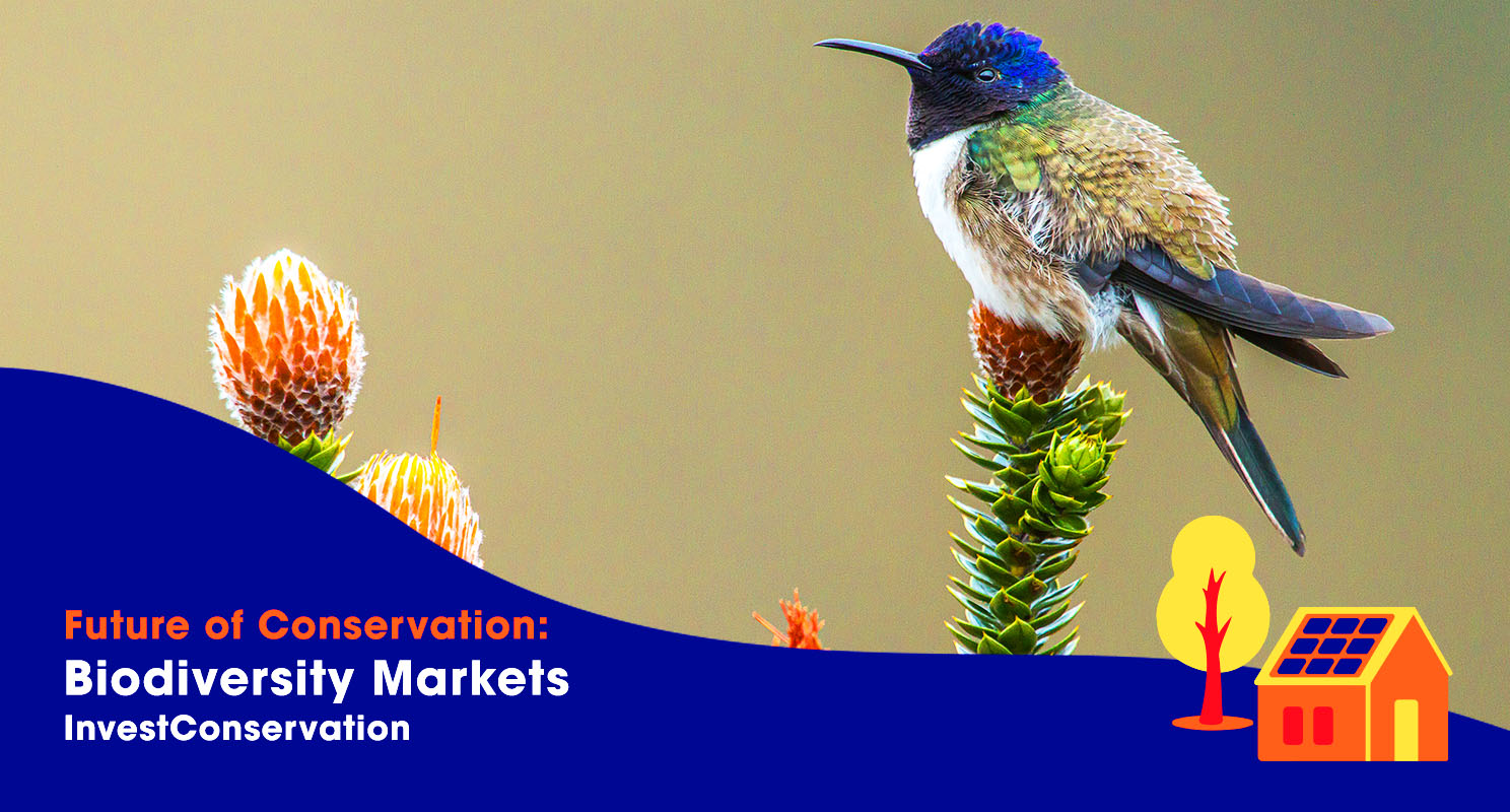 Future Of Conservation: Biodiversity Markets - Etcho