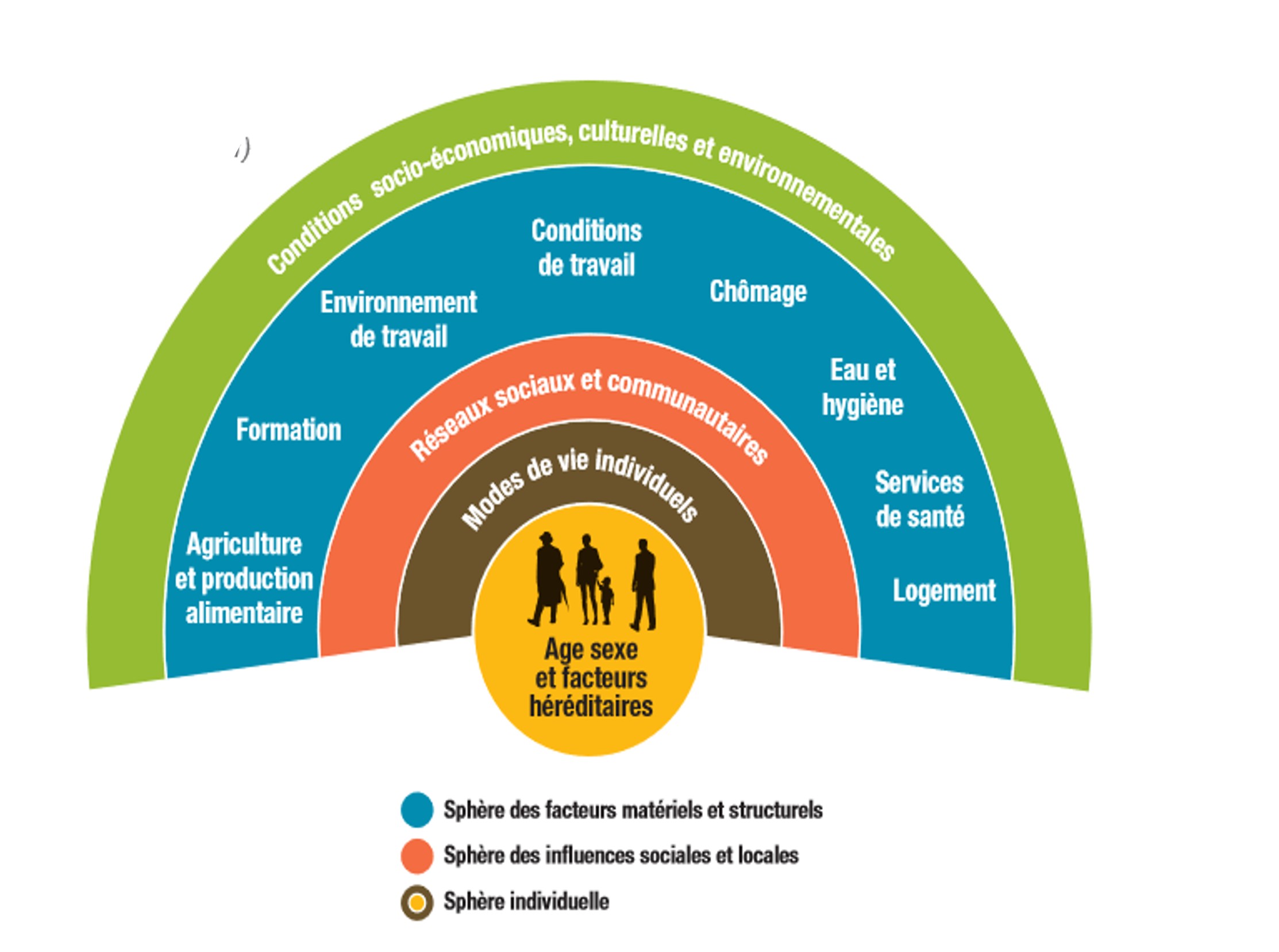 Le modèle des déterminants de la santé, Whitehead & Dahlgren, 1991