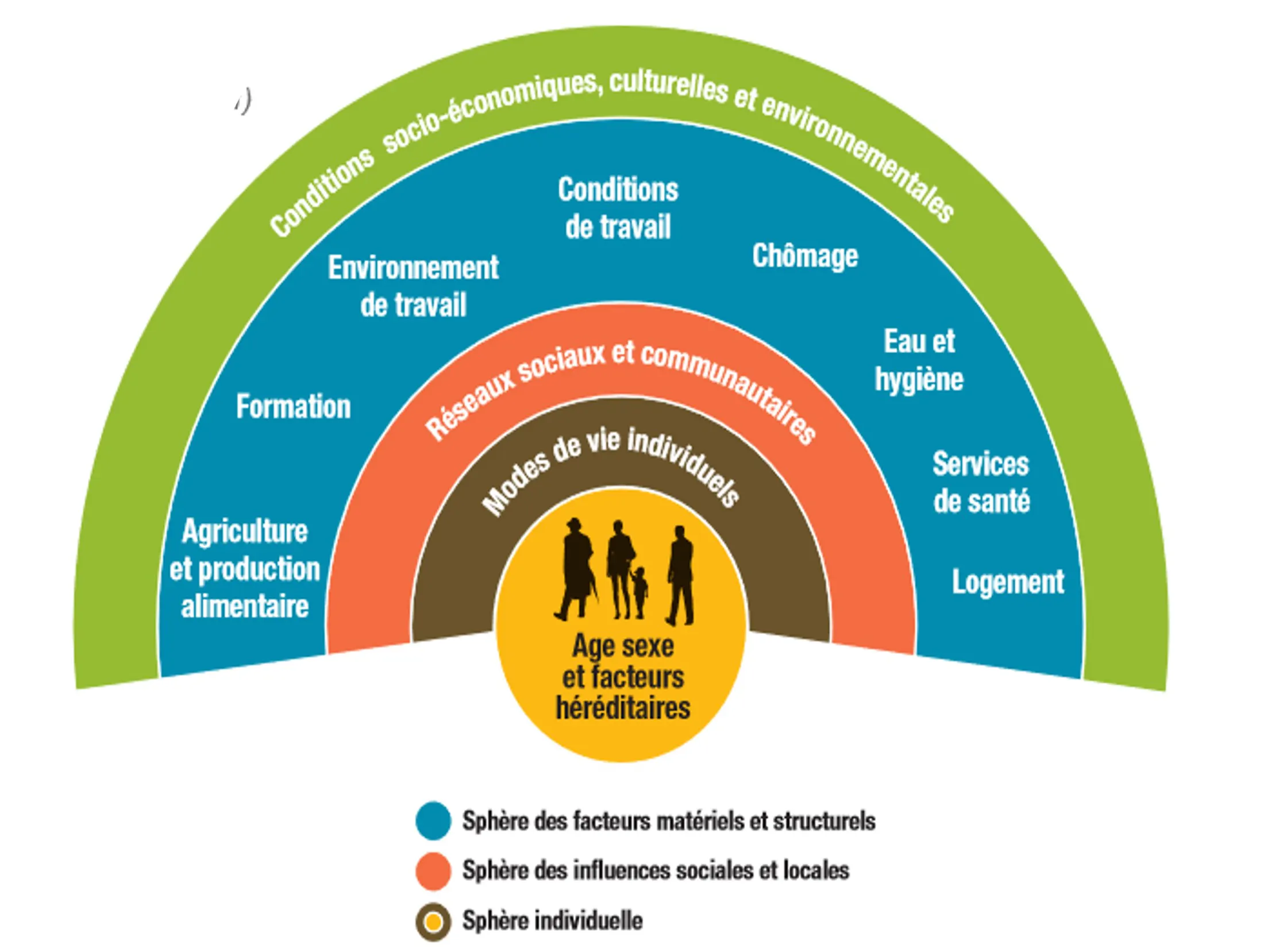 Le modèle des déterminants de la santé, Whitehead & Dahlgren, 1991