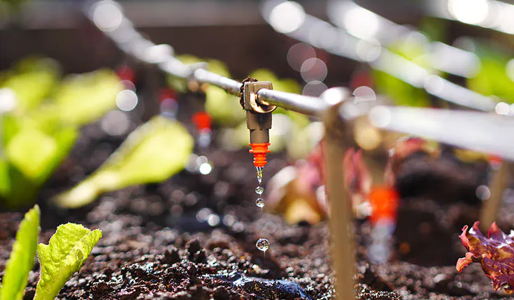 Automated agriculture
