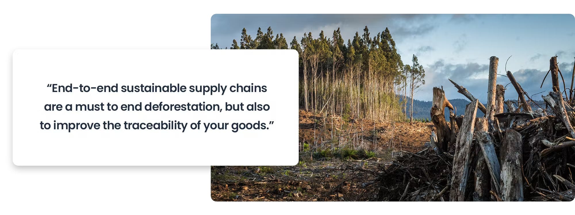 "End-to-end sustainable supply chains are a must to end deforestation, but also to improve the traceability of your goods."