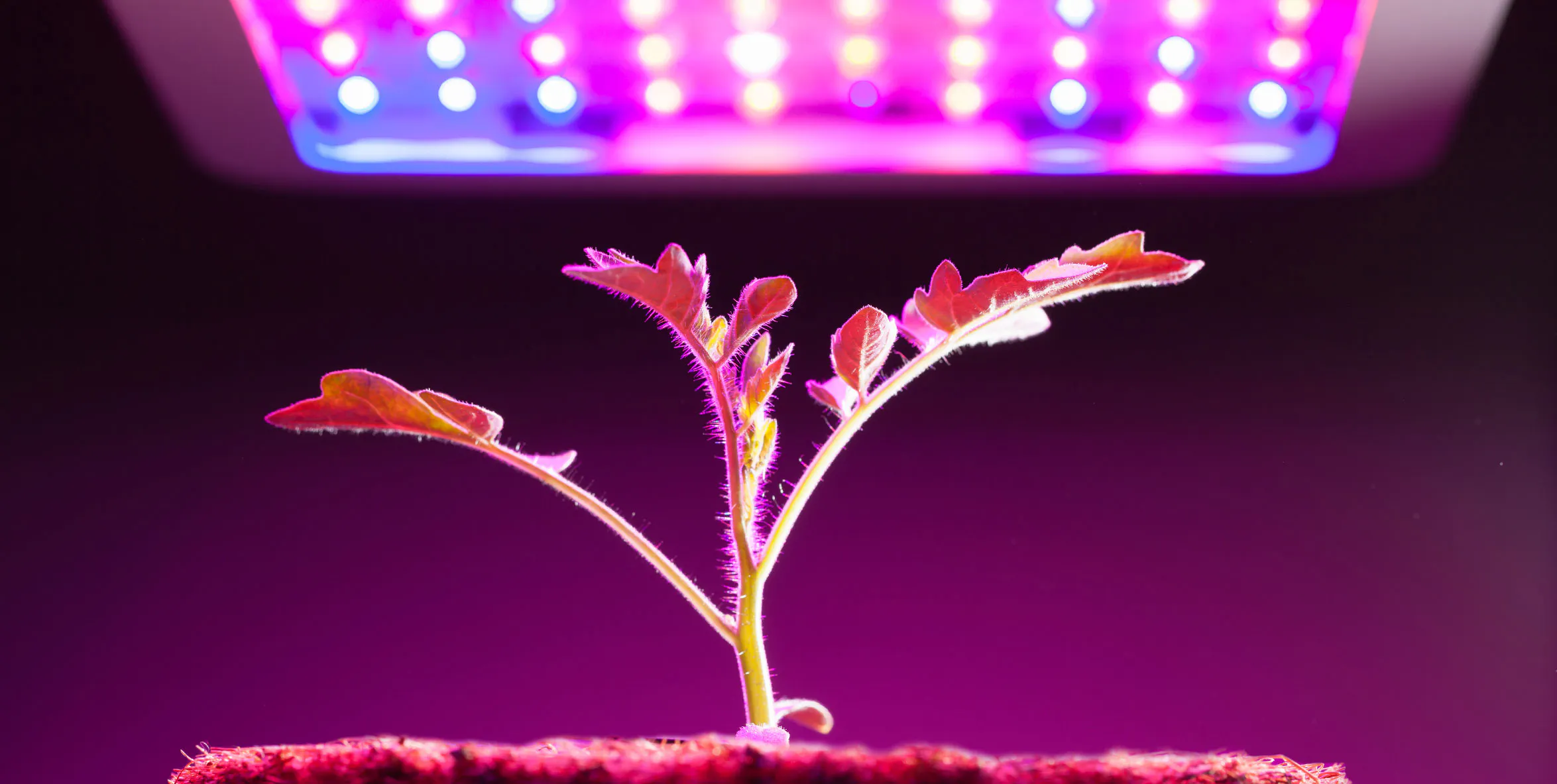 The fourth agricultural revolution