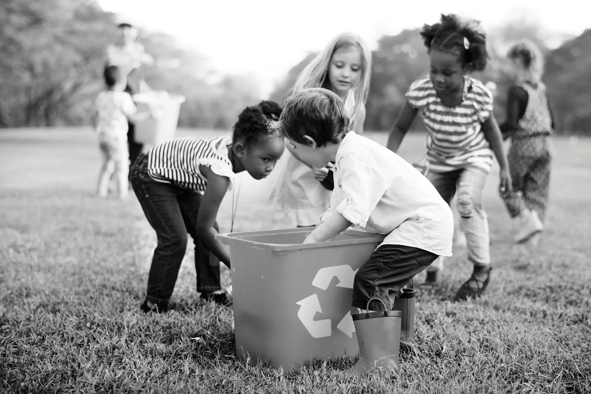 Reducing our environmental impact