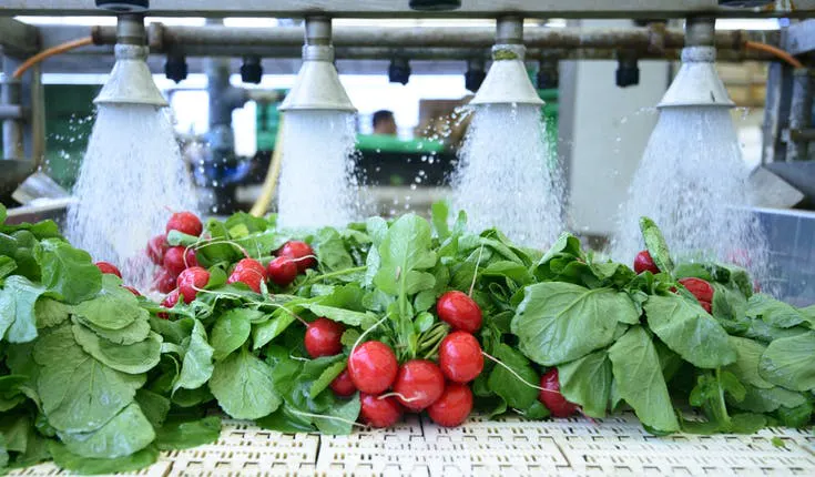 Tools for food safety