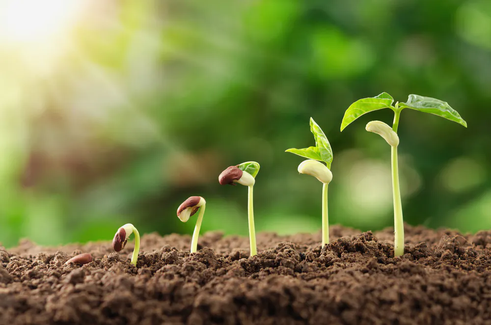 Three technologies revolutionising the agricultural industry