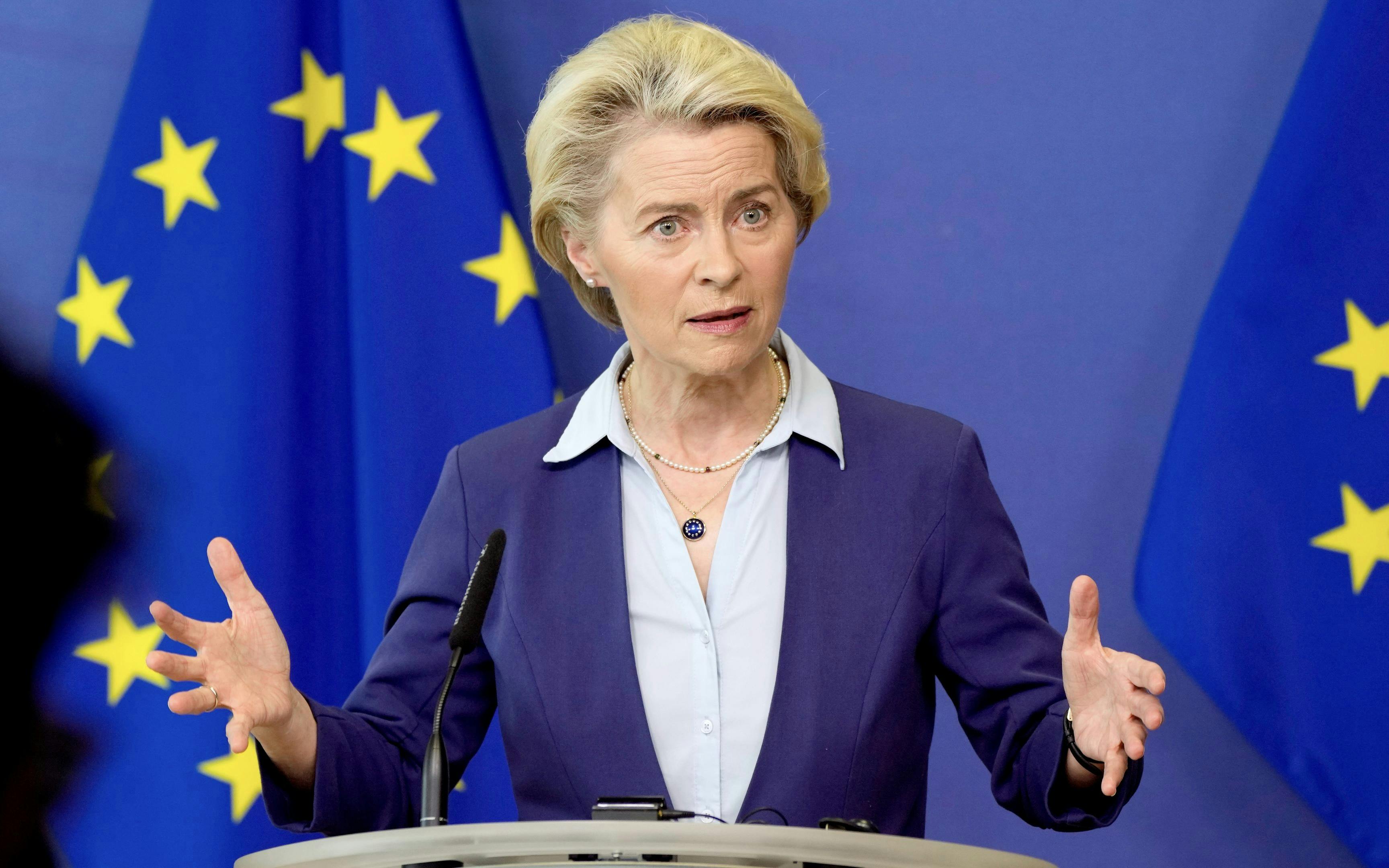 EU vor Ultimatum im Handelsstreit mit den USA – zwischen Nachgeben und Gegenmaßnahmen