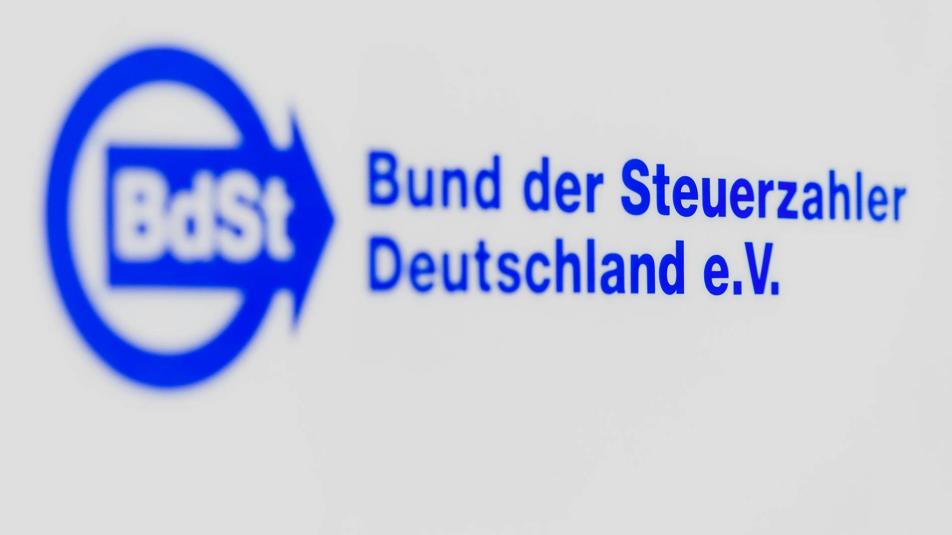 40.000 euro per quattro pipistrelli – gli sprechi fiscali più assurdi della Germania