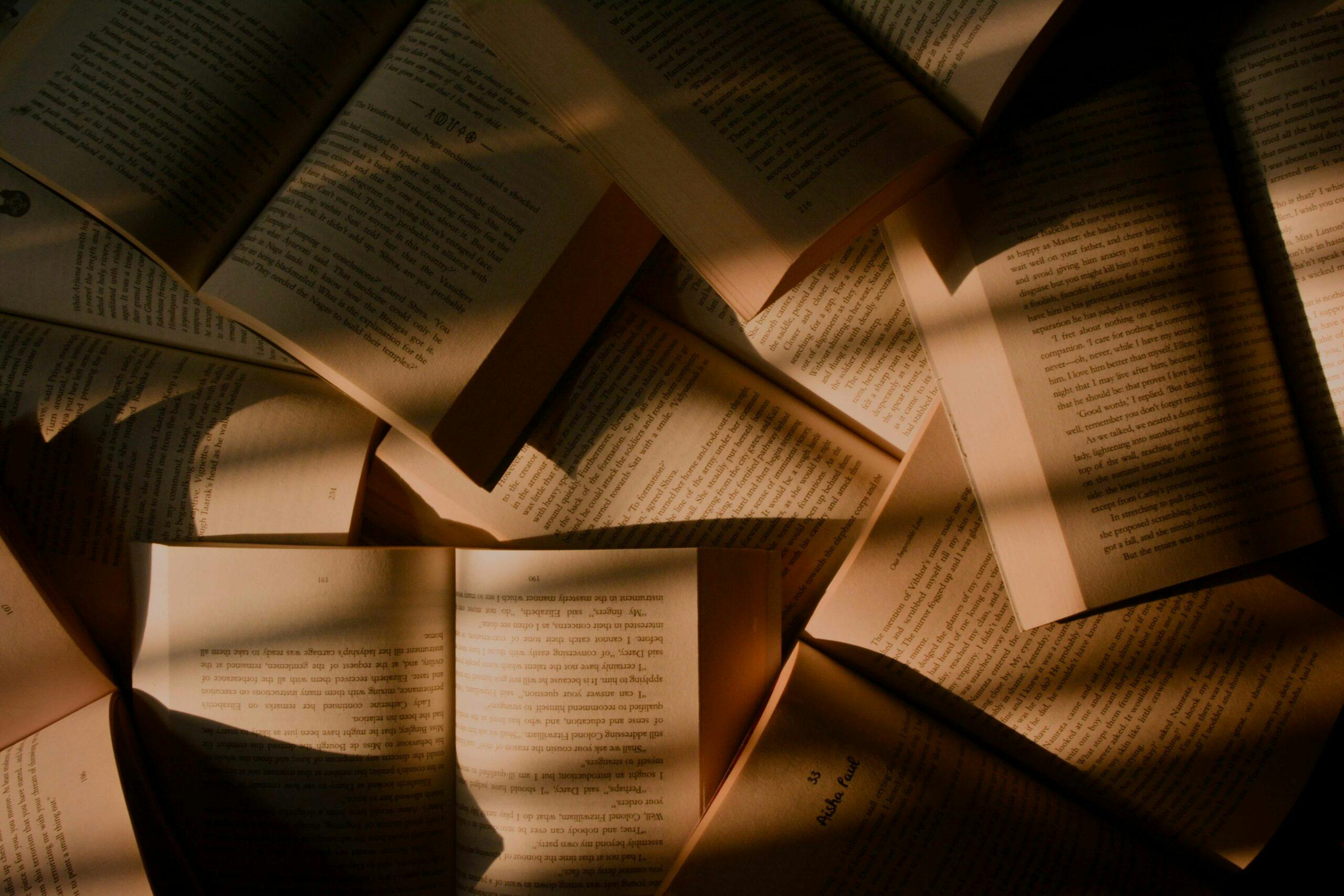 Warum wir Bücher lesen sollten – und warum kein Algorithmus das ersetzen kann