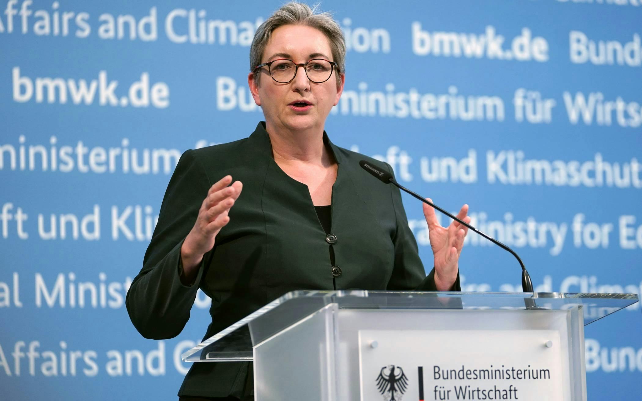 Ex-SPD Minister to audit black-red finances