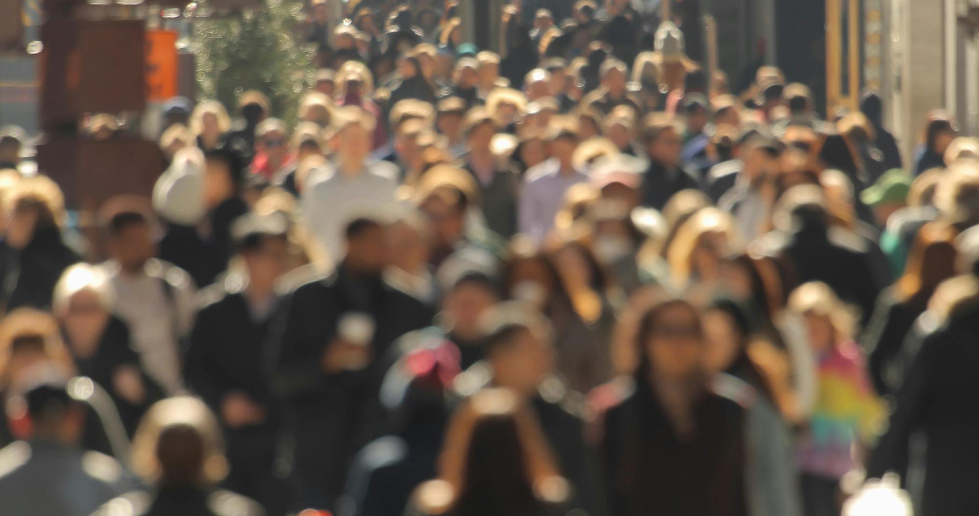 Job Market 2026: Why a Year of Light and Shadow Awaits Job Seekers