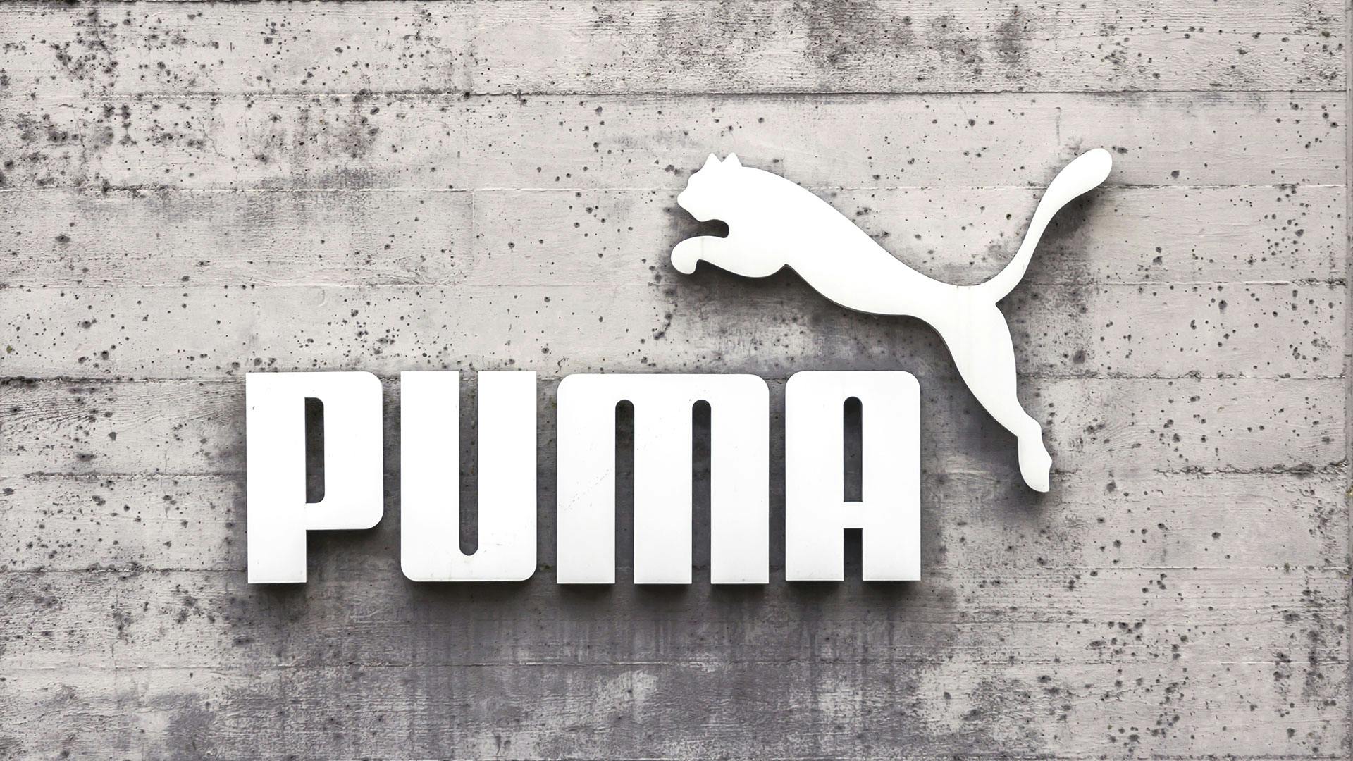 Puma delnica: Pogajanja z Anta Sports so zastala