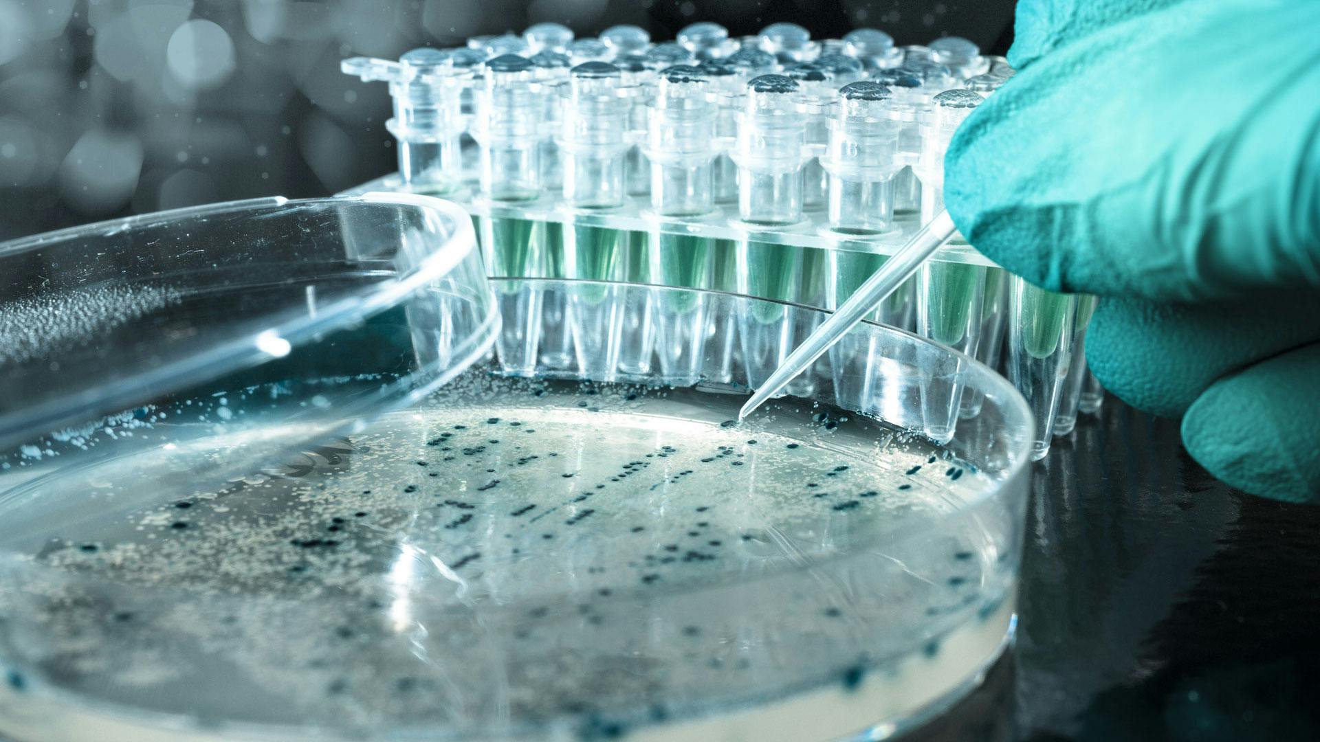 Abivax menghadapi tahun yang menentukan – Aplikasi persetujuan untuk Obefazimod semakin dekat