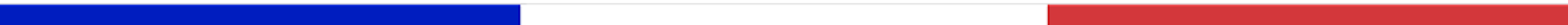 French Flag Horizontal Line