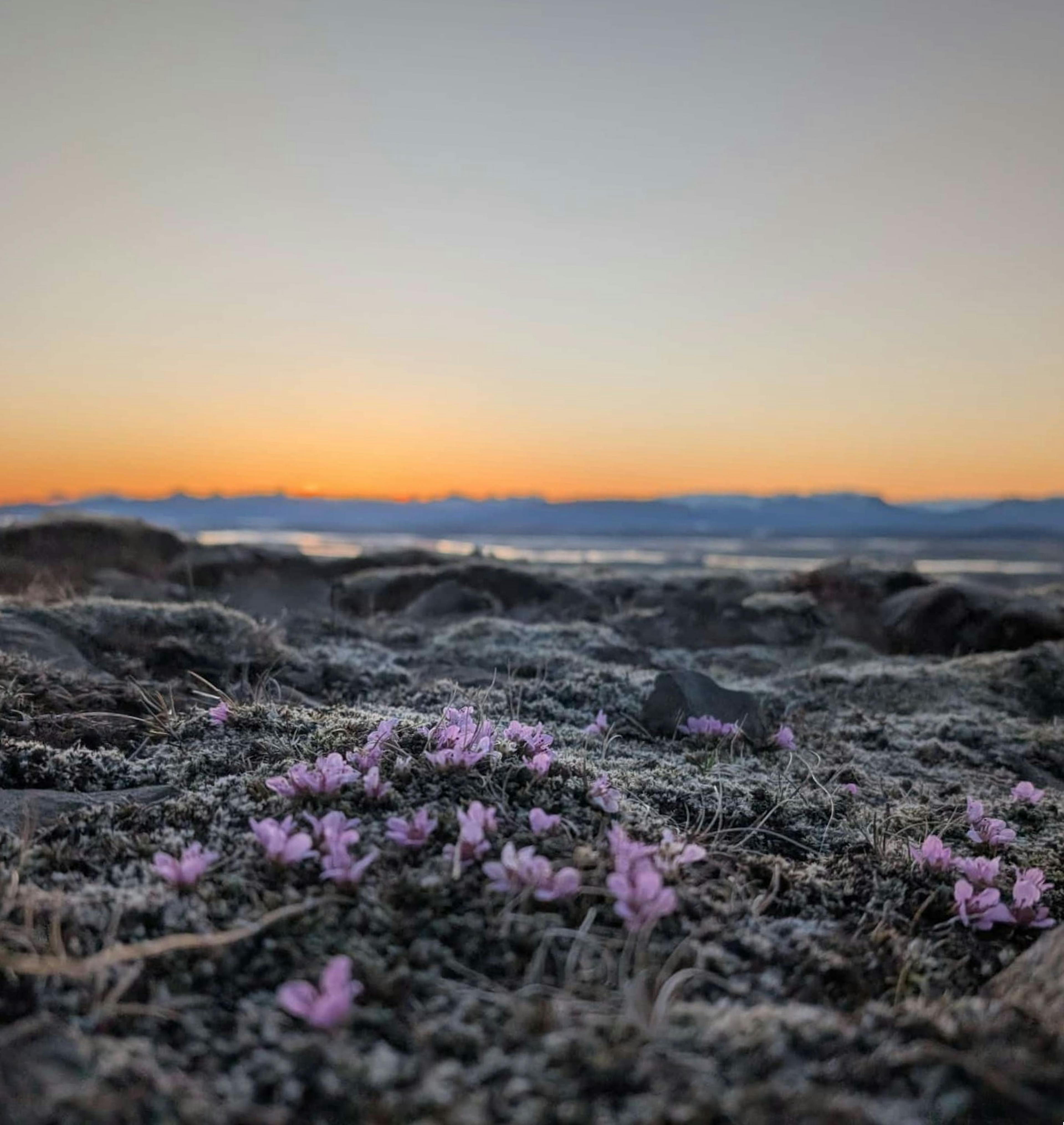 Sonnenenuntergang auf dem Berg in der nähe unserer Unterkunft. Beim Wandern am Abend. 