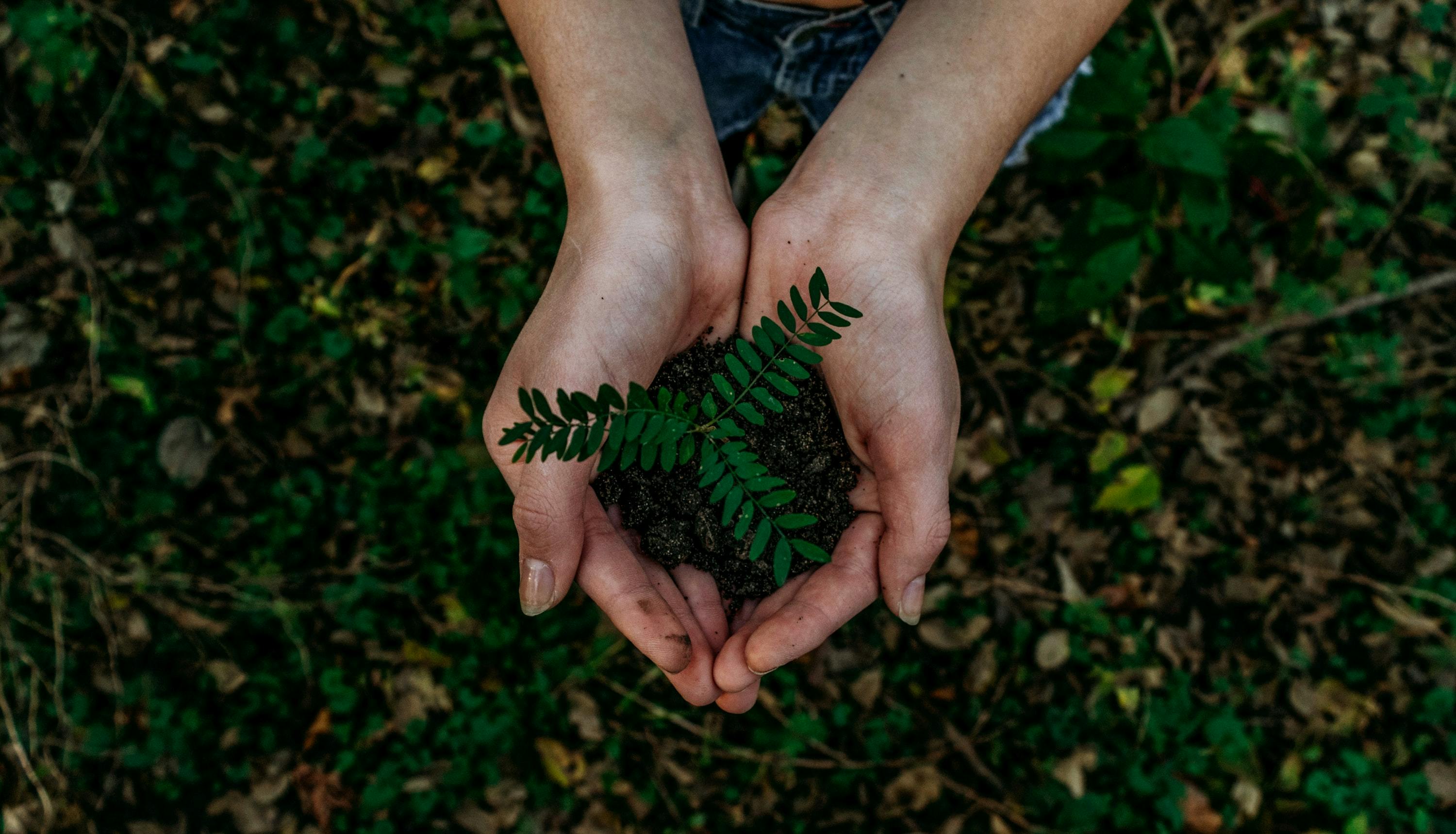 Biodiversity: The new frontier of sustainable finance