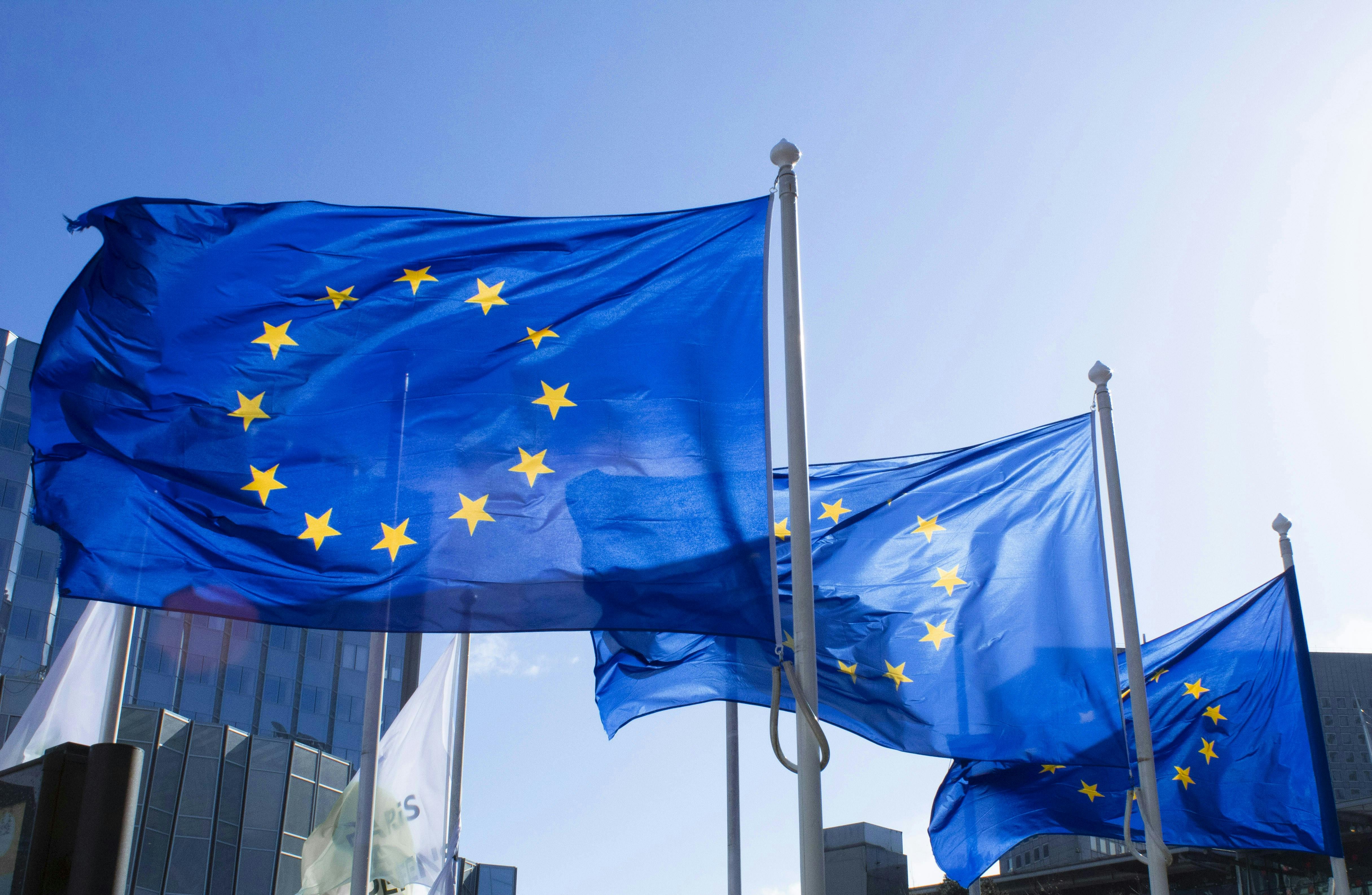 EU elections, EU Green Deal, reasons to hope and a way forward